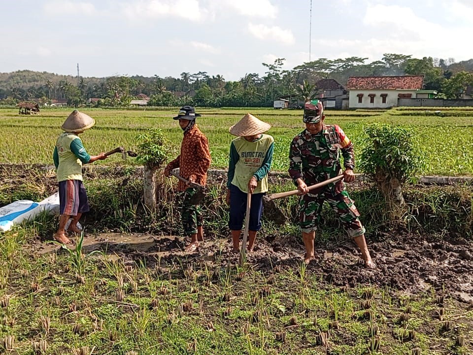 Babinsa Margomulyo Bantu Warga Timbun Jalan Pertanian Untuk Lancarkan Akses